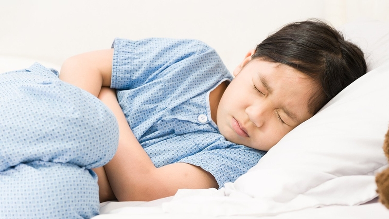 Sán chó lây qua đường nào? Làm gì khi bị nhiễm sán chó? 2