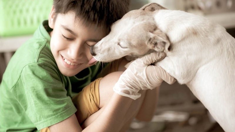 Sán chó lây qua đường nào? Làm gì khi bị nhiễm sán chó? 3