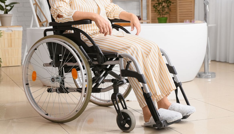 Sán chó và giun đũa chó khác nhau như thế nào 4