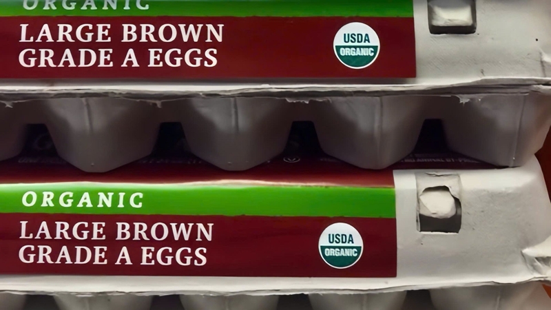 Sản phẩm hữu cơ và những điều bạn cần biết 5