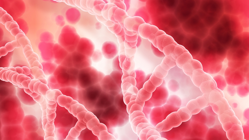 san-pham-thoai-hoa-fibrin-fdp-la-gi 1
