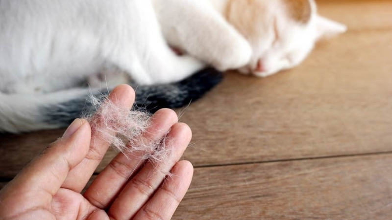 Sáng ngủ dậy bị nổi mẩn ngứa: Nguyên nhân và cách điều trị 2