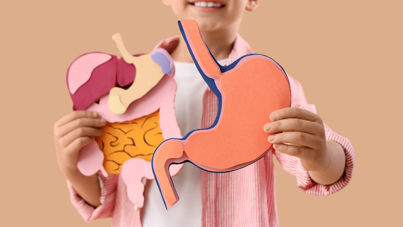 Tỷ lệ hấp thụ thực tế của sắt heme vào cơ thể rất cao