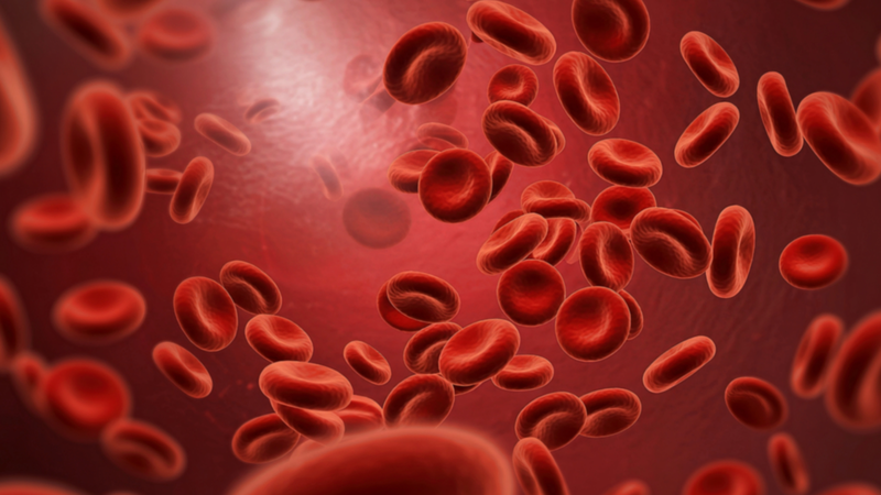 Hỗ trợ điều trị thiếu máu