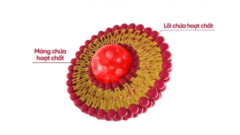 Sắt Lipofer là gì? Khám phá ưu điểm của sắt Lipofer 1