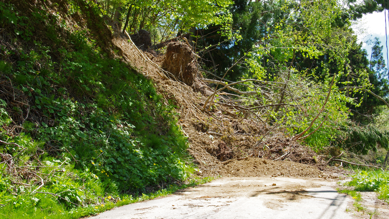 Có nhiều nguyên nhân dẫn đến sạt lở đất