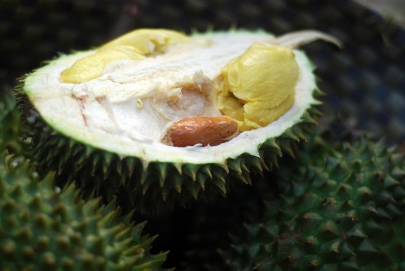 Ăn hạt sầu riêng có tác dụng gì cho sức khỏe? 1