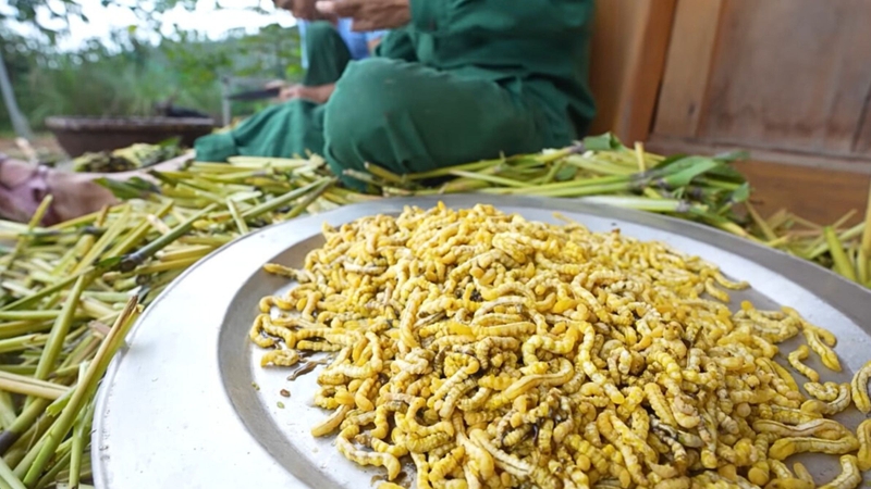 Trong quá trình sử dụng, nếu xuất hiện các biểu hiện bất thường như dị ứng, rối loạn tiêu hóa hoặc mệt mỏi kéo dài, nên ngưng dùng