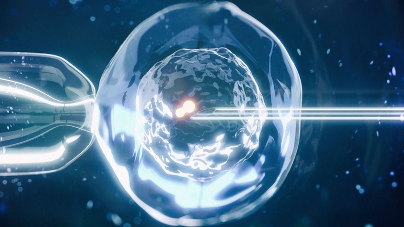 Sau chuyển phôi 6 ngày thử que 1 vạch chưa chắc đã là dấu hiệu đáng lo