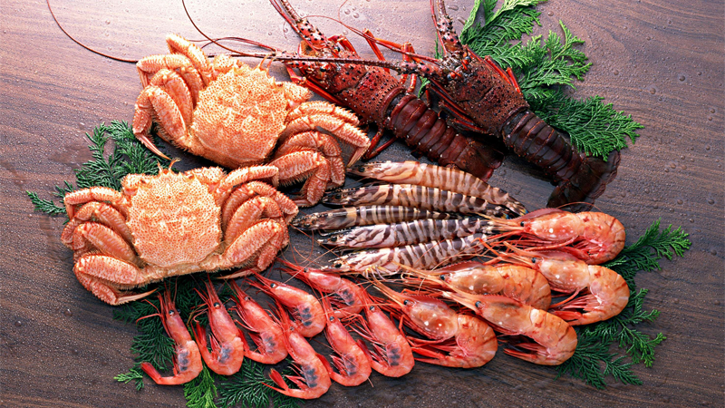 Sau khi cắt mộng thịt mắt kiêng ăn gì 2