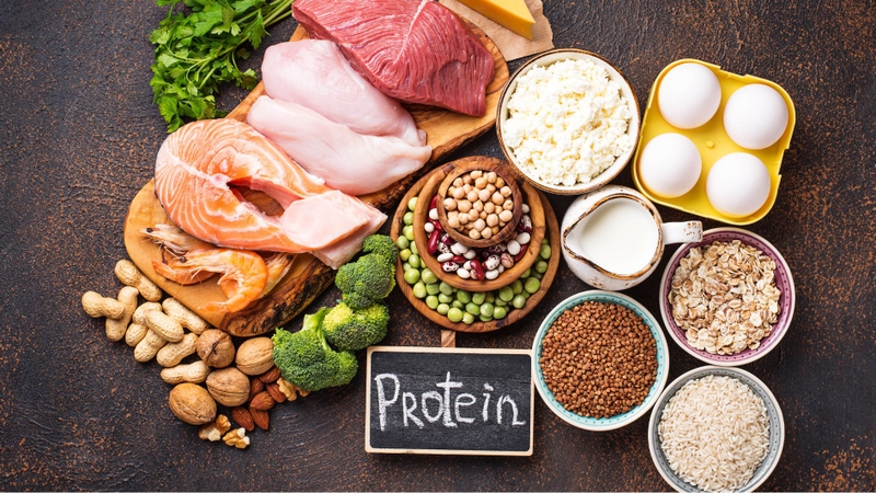 Protein là dưỡng chất quan trọng giúp hỗ trợ phục hồi và duy trì khối lượng cơ