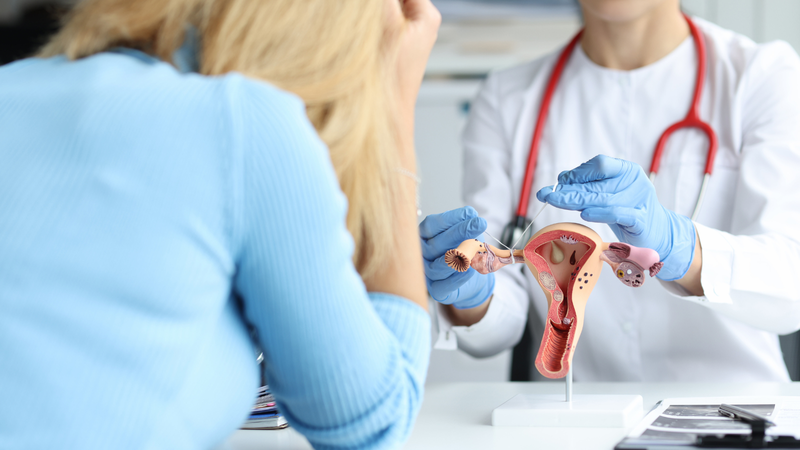 sau-mo-kep-voi-trung-cham-soc-va-phuc-hoi 1