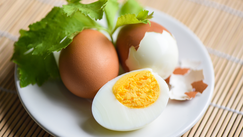 Trứng là nguồn cung cấp protein góp phần hỗ trợ quá trình phục hồi sau phẫu thuật