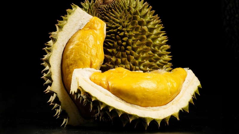 Sầu riêng Musang King là giống sầu riêng nổi tiếng từ Malaysia