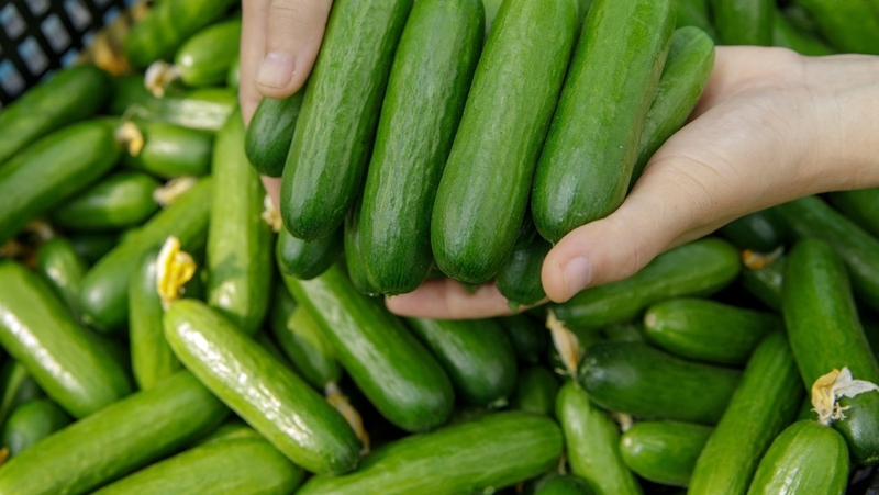 Sau sinh ăn dưa leo được không? Lưu ý khi ăn dưa leo mà chị em nên biết 4