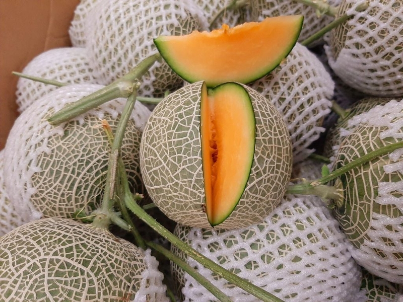 Sau sinh ăn dưa lưới được không