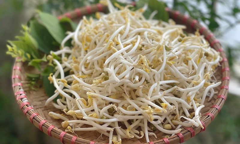 Sau sinh ăn giá đỗ được không? Mẹ bầu sau sinh ăn giá đỗ có lợi ích gì? 1