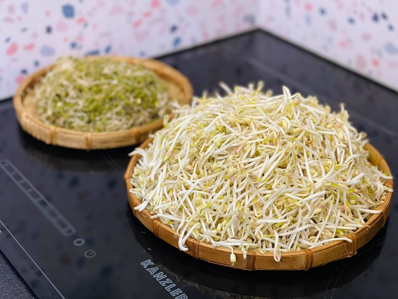 Sau sinh ăn giá đỗ được không? Mẹ bầu sau sinh ăn giá đỗ có lợi ích gì? 2