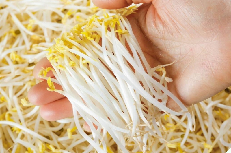 Sau sinh ăn giá đỗ được không? Mẹ bầu sau sinh ăn giá đỗ có lợi ích gì? 4