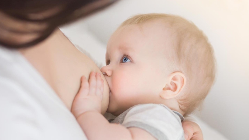 Sau sinh ăn rau mồng tơi được không? Nên kết hợp với thực phẩm nào? 1