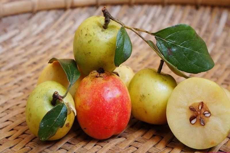 Sau sinh ăn táo mèo được không? Tác dụng của táo mèo đối với sức khỏe sản phụ 1