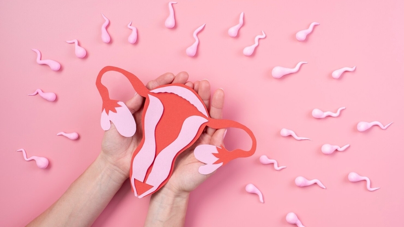 Sau sinh bao lâu thì đặt vòng được 3