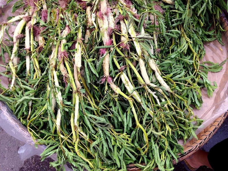 Sau sinh có được ăn rau nhút không? Những loại rau không nên ăn tránh mất sữa 2