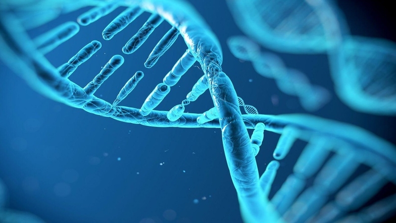 Sảy thai không hoàn toàn: Nguyên nhân, dấu hiệu và cách điều trị 1