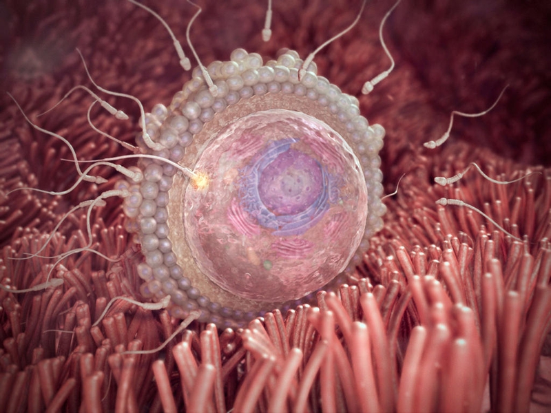 Sảy thai sớm: Nguyên nhân và cách phòng tránh 2