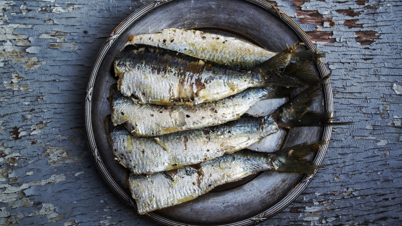 Cá mòi cung cấp omega-3 quan trọng cho cấu trúc não bộ