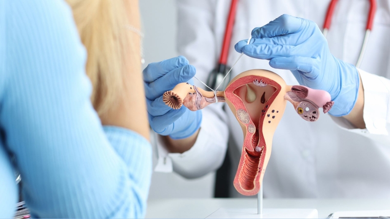 Bệnh lý vòi trứng có thể ảnh hưởng đến khả năng sinh sản của nữ giới
