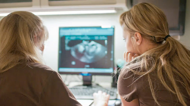 Siêu âm có phát hiện ung thư cổ tử cung không? 3