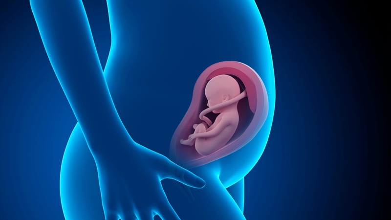 Siêu âm có Yolksac là gì? Những điều mẹ bầu nên biết 2