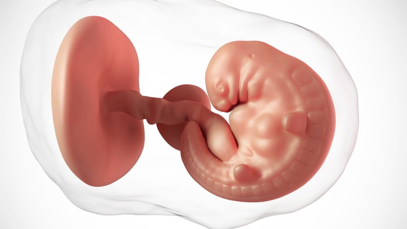 Siêu âm thai giúp bác sĩ có thêm thông tin ước tính tuổi thai