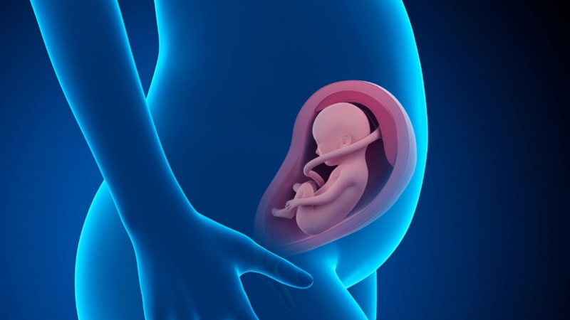 Xuất hiện túi thai trong buồng tử cung là dấu hiệu thai 6 tuần phát triển bình thường