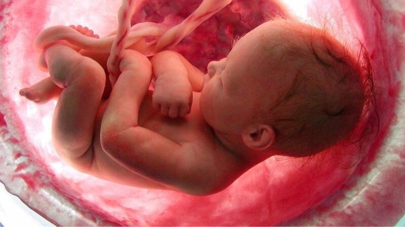 Siêu âm thai nhi: Thông tin từ A đến Z mà mẹ bỉm nên biết 3