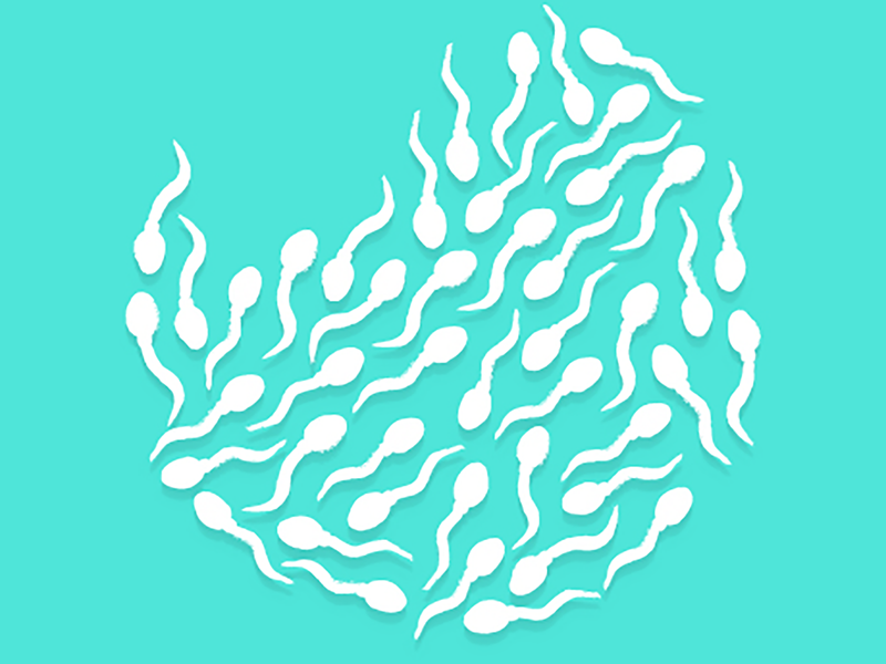 Sinh con – Hỗ trợ sinh sản và các lựa chọn khác sau điều trị ung thư5