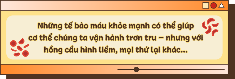 Sinh con khỏe mạnh: Vì sao bạn nên hiểu về bệnh hồng cầu hình liềm? text 1