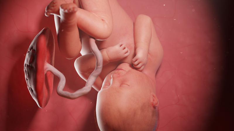 Sinh mổ có bị băng huyết không? Nguyên nhân và cách phòng ngừa 4