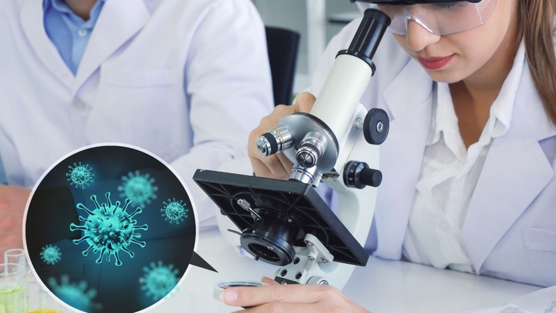 Quy trình sản xuất sinh phẩm y tế đòi hỏi công nghệ cao và sự kiểm soát nghiêm ngặt