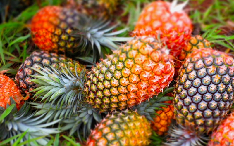 Sinh tố chuối dứa: Lợi ích sức khỏe từ món ngon lạ miệng 3