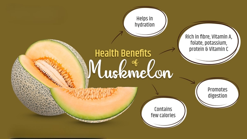 Sinh tố dưa lưới có tác dụng gì? Khám phá lợi ích sức khỏe toàn diện 5