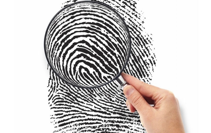 Mỗi cá thể con người sở hữu một mẫu sinh trắc vân tay riêng biệt không ai giống ai