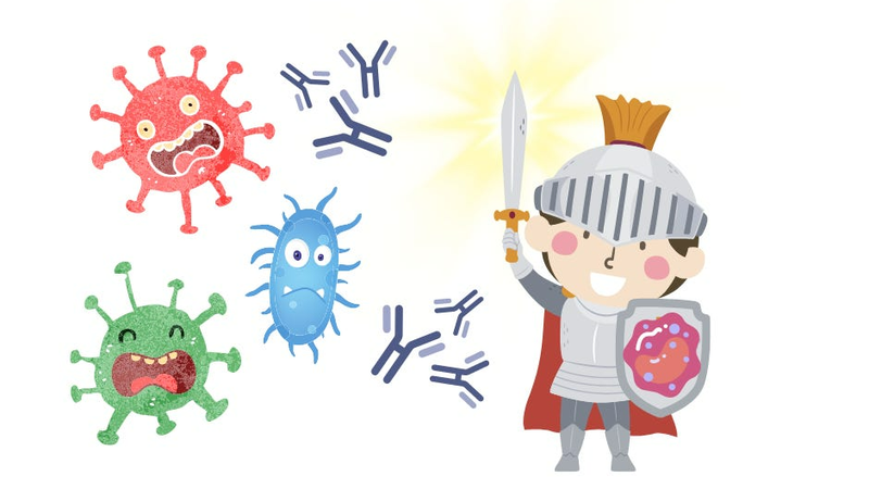 Siro Biolizin - Người bạn đồng hành đáng tin cậy giúp đề kháng trẻ khỏe mạnh2