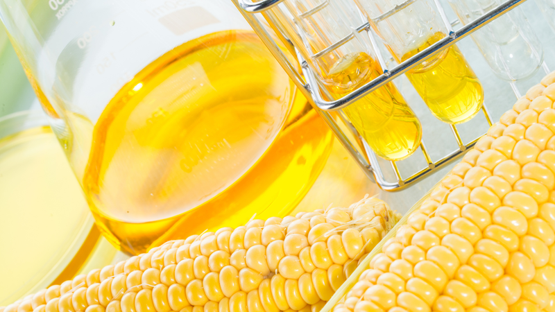 Siro ngô cao fructose (HFCS) khiến lượng đường trong máu tăng cao, làm tăng nguy cơ mắc tiểu đường type 2