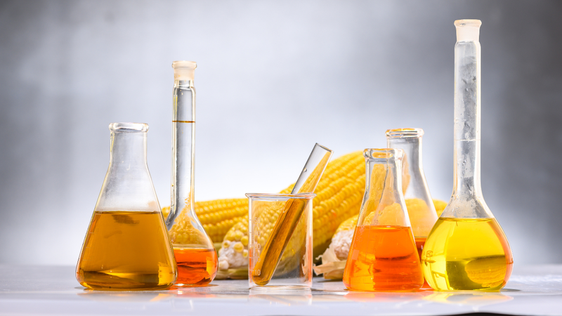 Cả đường mía và siro ngô đều là nguồn cung cấp năng lượng cho cơ thể