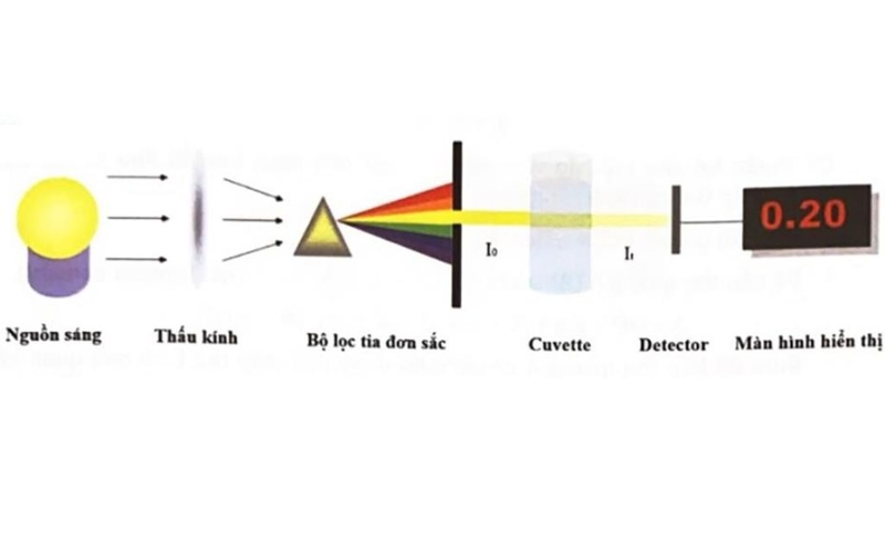 Đo OD là gì? Nguyên lý, phương pháp đo và ý nghĩa trong xét nghiệm sinh hoá 2