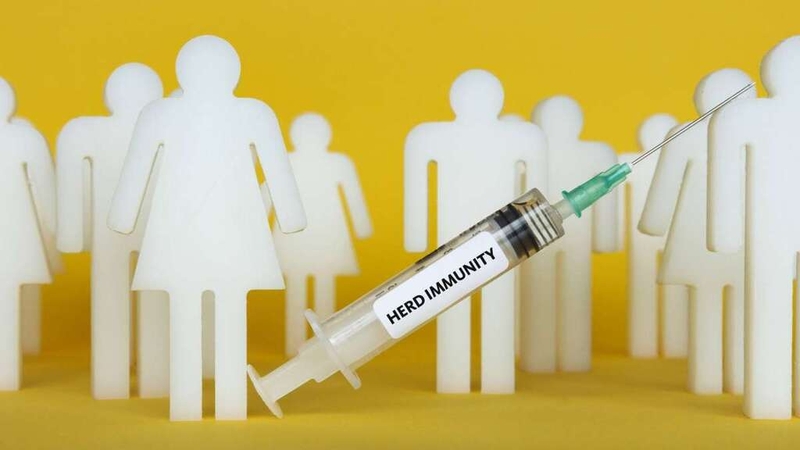 Góc giải đáp: Tiêm vắc xin cho người lớn ở đâu uy tín và an toàn? 2