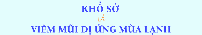 kho-so-vi-viem-mui-di-ung-mua-lanh.png