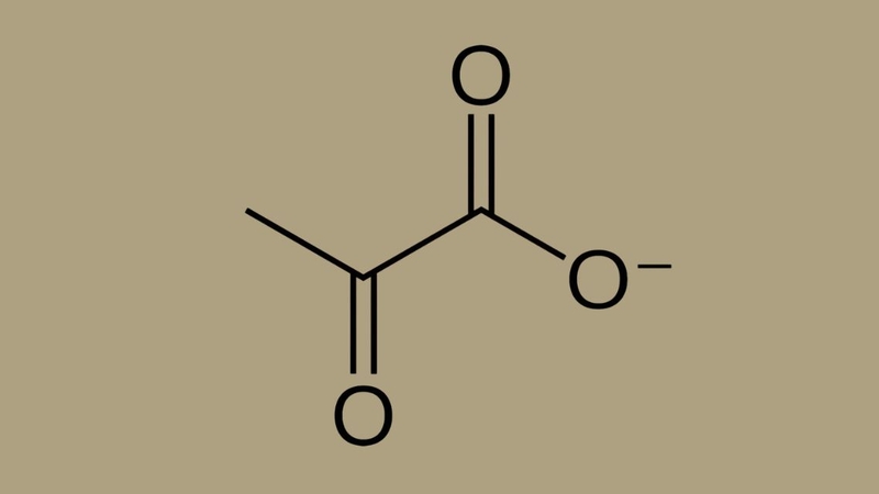 Pyruvate được hình thành trong quá trình phân giải glucose